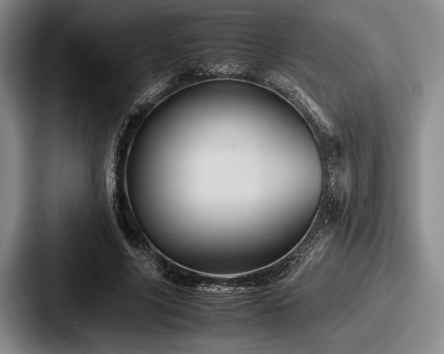 X0000087670635200705111158