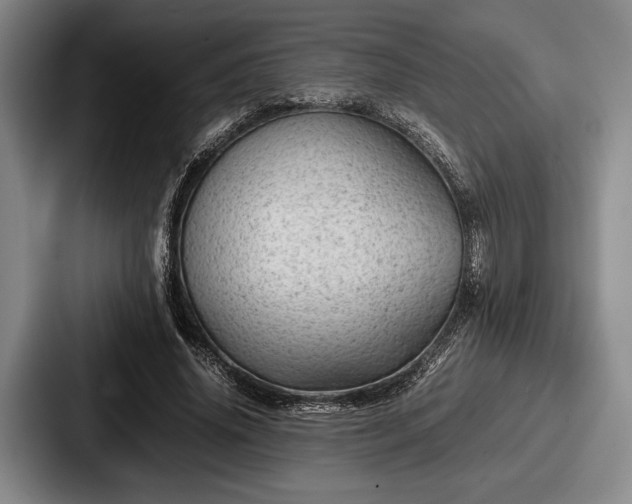 X0000087670636200705111158