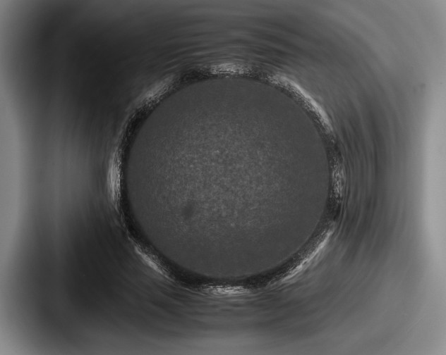 X0000087670637200705111158