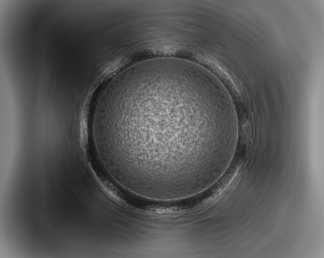 X0000087670638200705111158