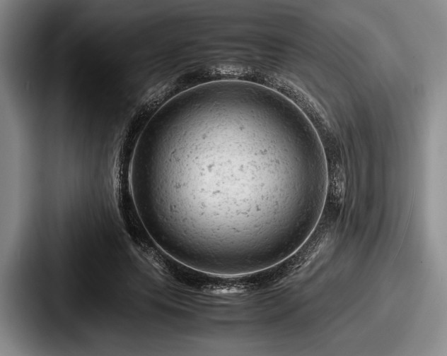 X0000087670639200705111158