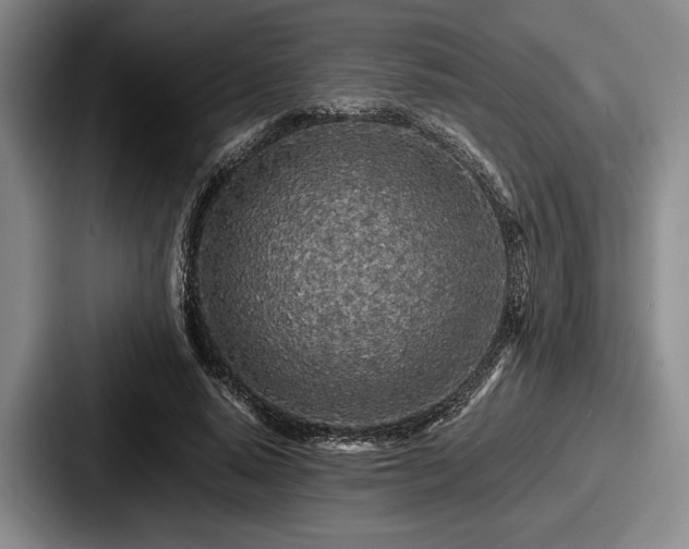 X0000087670640200705111158