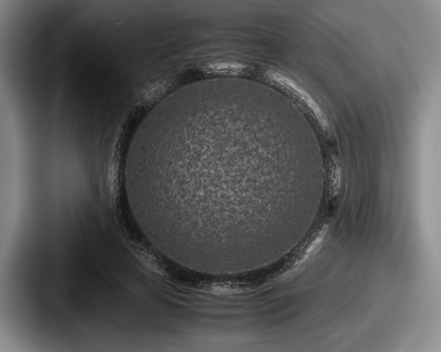 X0000087670641200705111158