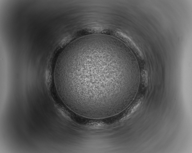 X0000087670642200705111158