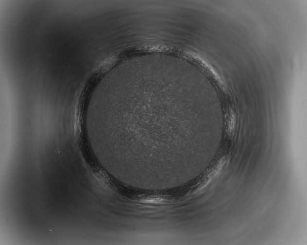 X0000087670643200705111158