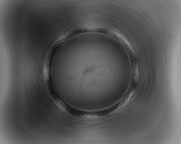 X0000087670644200705111158