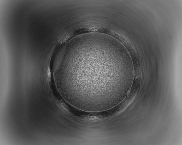 X0000087670646200705111158