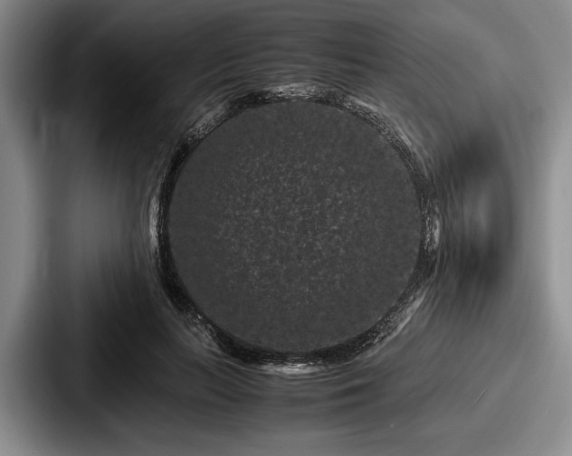 X0000087670647200705111158