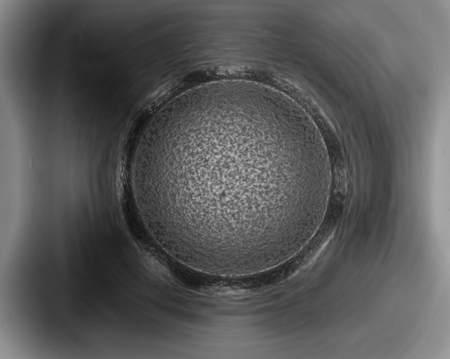 X0000087670648200705111158