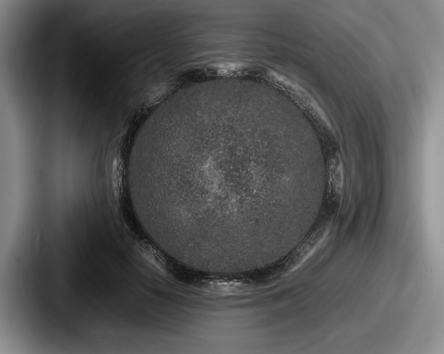 X0000087670650200705111158