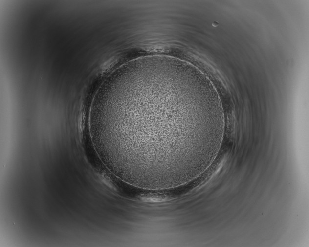 X0000087670652200705111158