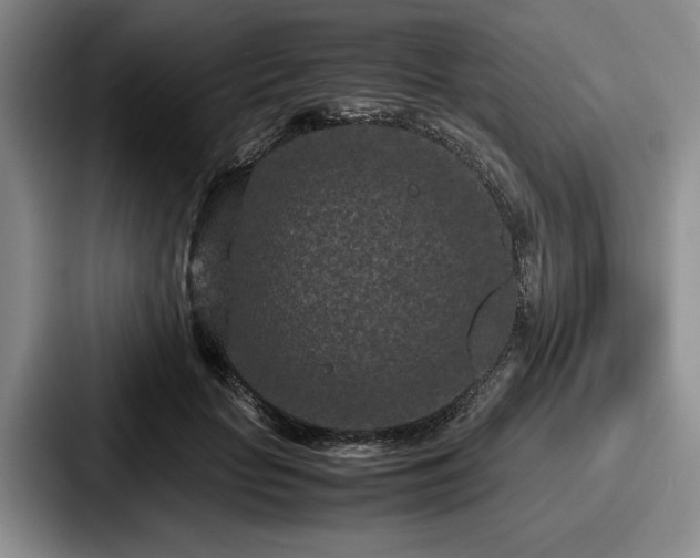 X0000087670653200705111158