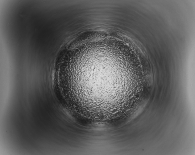 X0000087670654200705111158