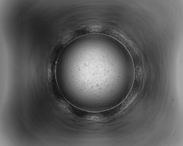 X0000087670655200705111158