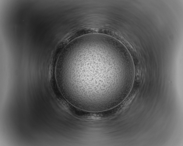 X0000087670656200705111158