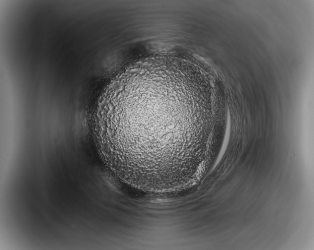 X0000087670658200705111158