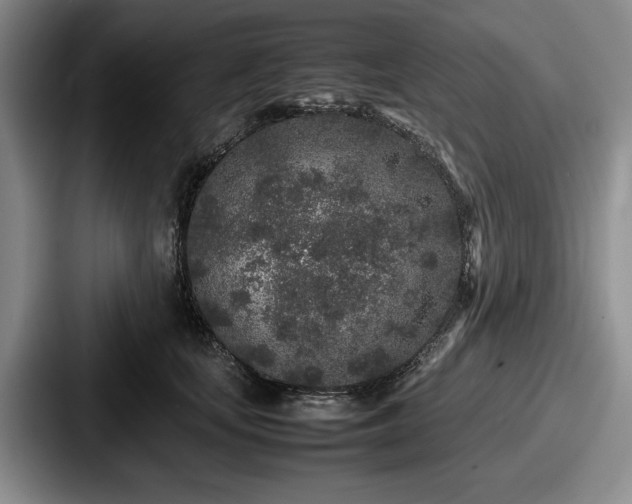 X0000087670659200705111158