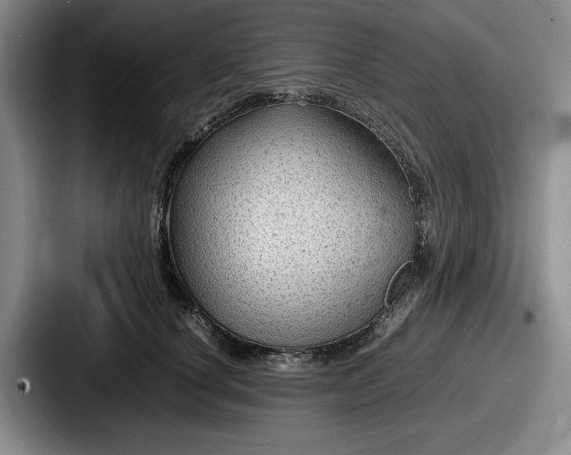 X0000087670660200705111158