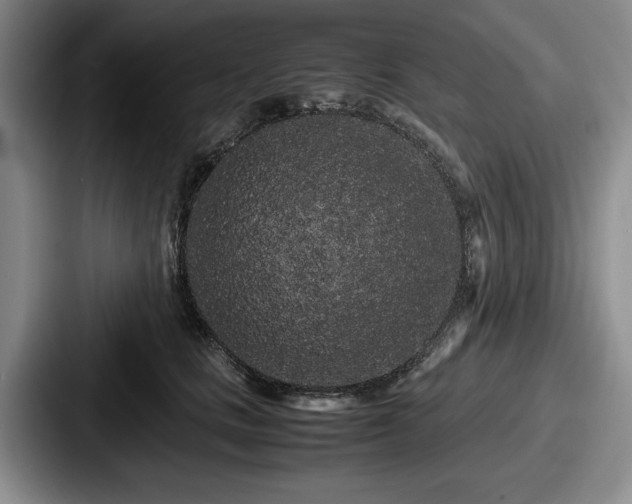 X0000087670661200705111158