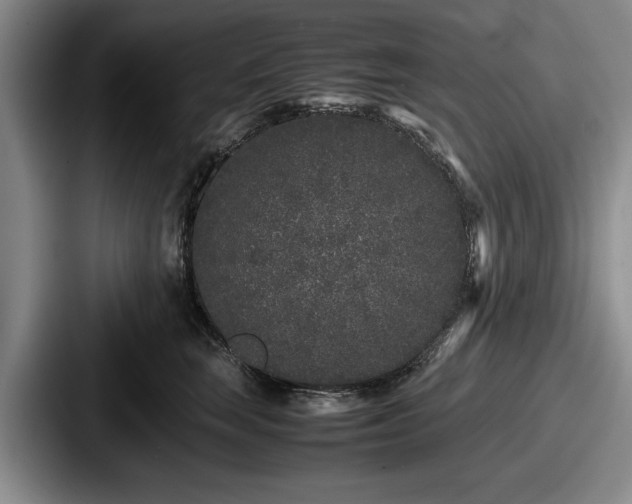 X0000087670663200705111158