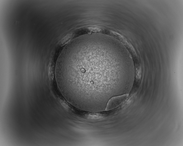 X0000087670666200705111158