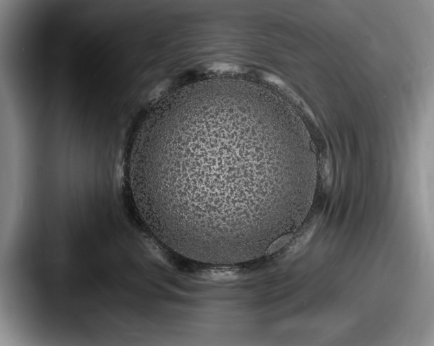 X0000087670668200705111158