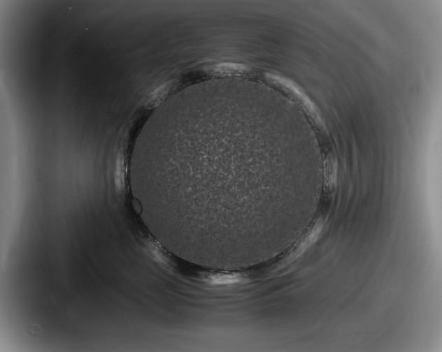 X0000087670669200705111158