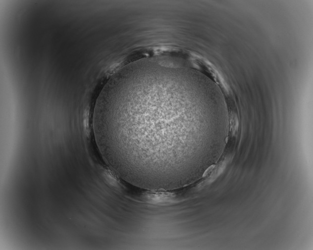 X0000087670670200705111159