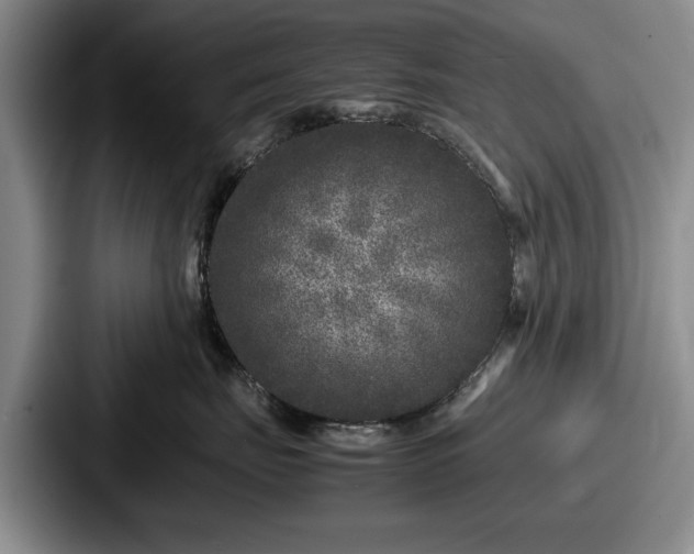 X0000087670671200705111159