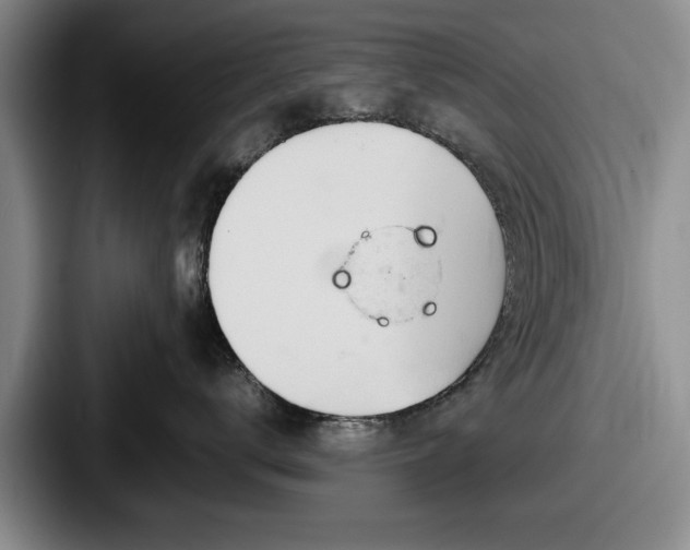 X0000087670672200705111159