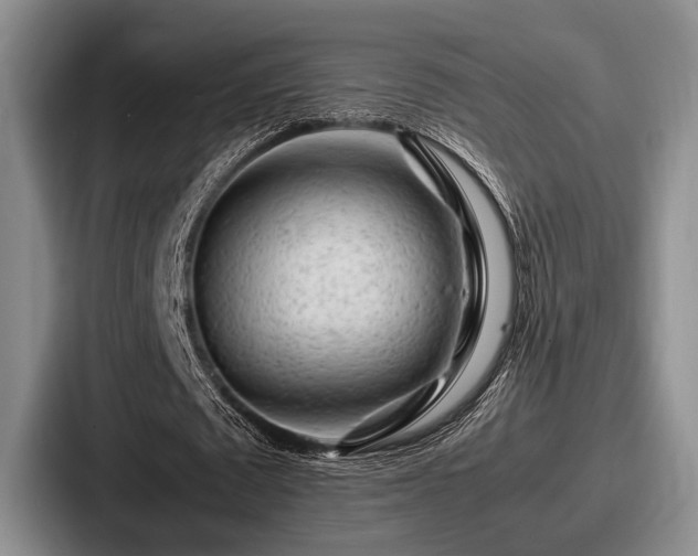 X0000087670673200705111158