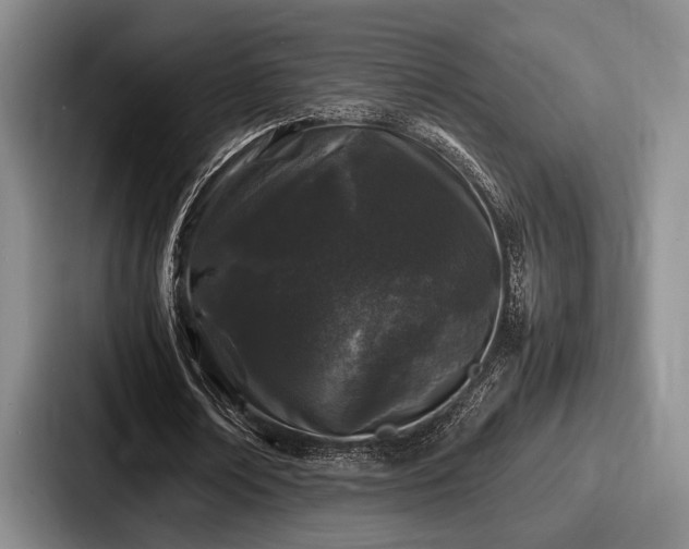 X0000087670674200705111158