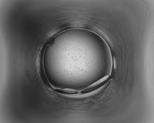 X0000087670675200705111158