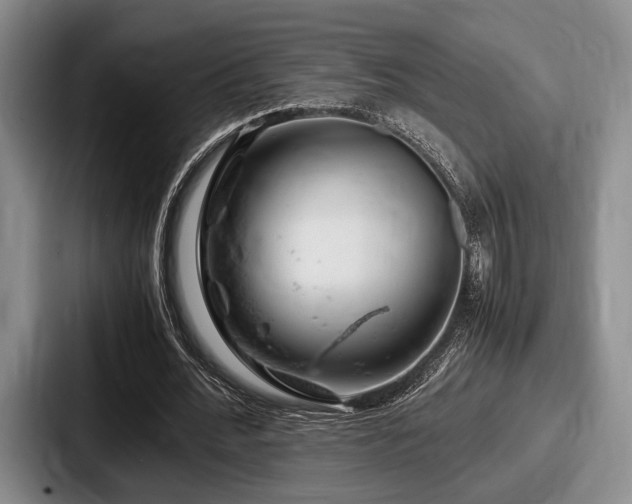 X0000087670676200705111158