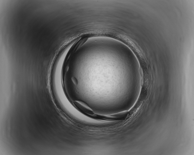 X0000087670677200705111158