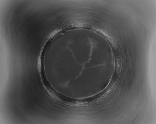 X0000087670678200705111158