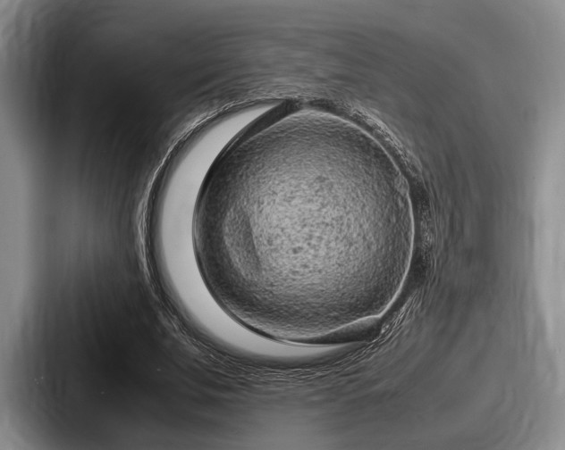 X0000087670679200705111158