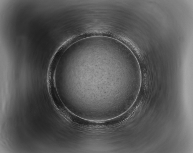 X0000087670680200705111158