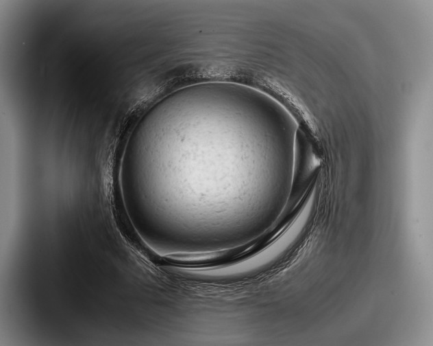 X0000087670681200705111158