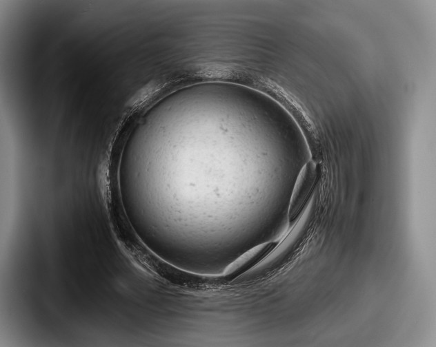 X0000087670682200705111158