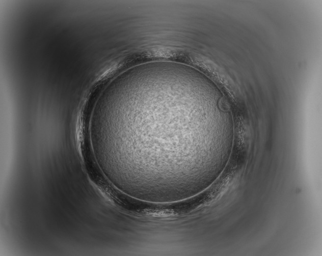 X0000087670683200705111158