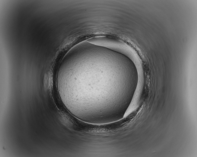 X0000087670685200705111158