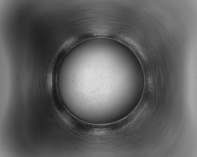 X0000087670686200705111158