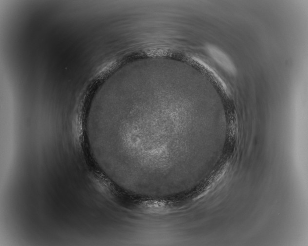 X0000087670687200705111158