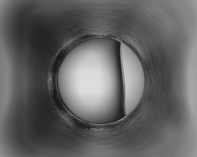 X0000087670688200705111158