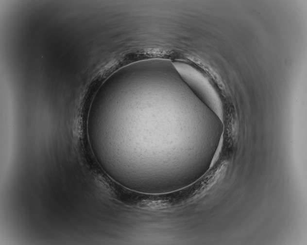 X0000087670689200705111158