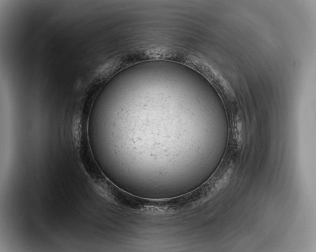 X0000087670690200705111158