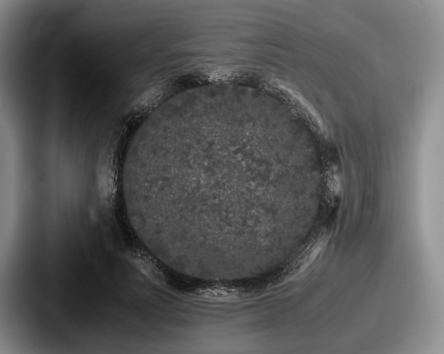 X0000087670691200705111158