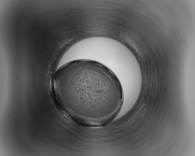 X0000087670692200705111158