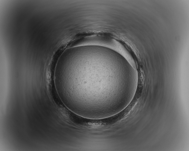 X0000087670693200705111158